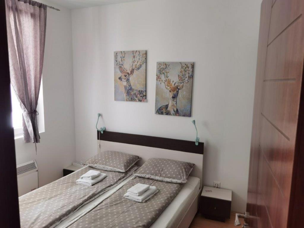 Apartments Foka & Spa - 600M From Gondola Ski Lift Kopaonik Luaran gambar