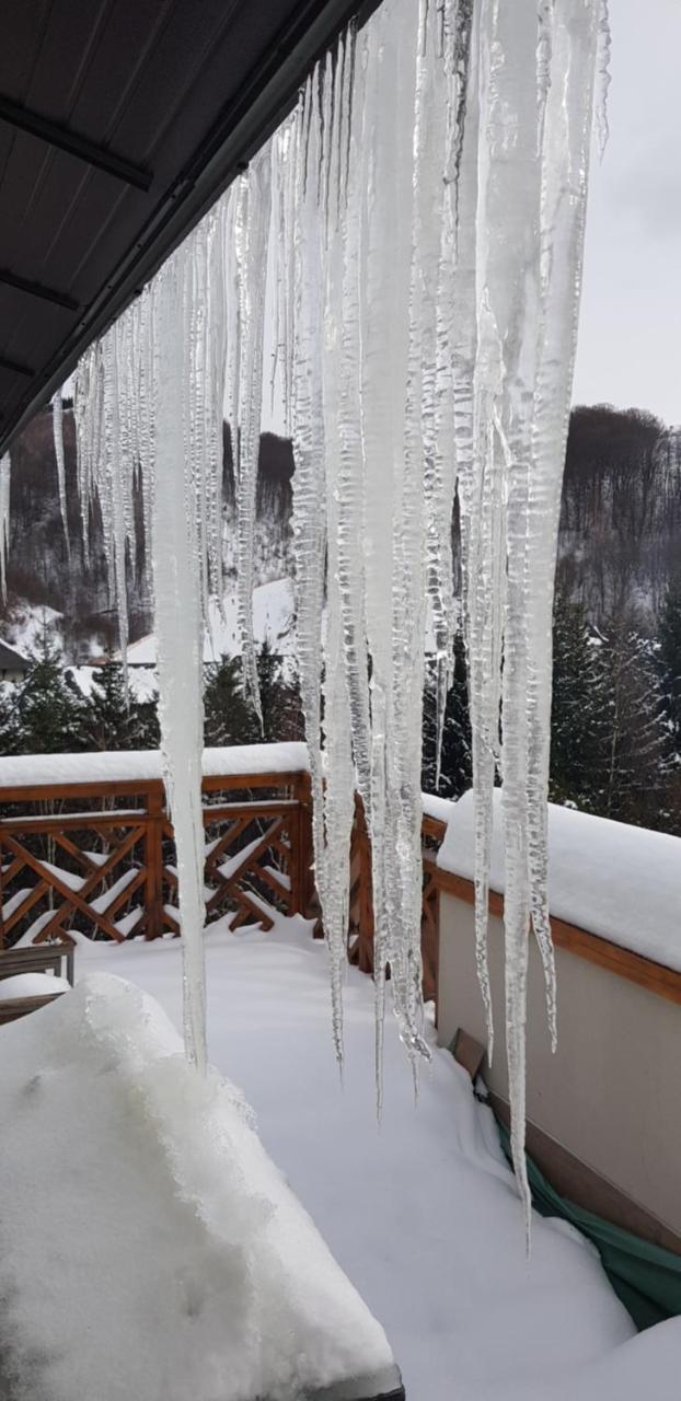 Apartments Foka & Spa - 600M From Gondola Ski Lift Kopaonik Luaran gambar